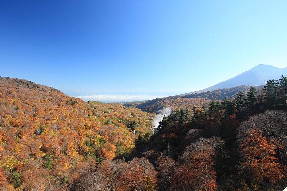 2010年 10月15日～24日 北東北の旅　第Ⅶ部　ふけの湯・松川渓谷（最終章）_c0127663_22551050.jpg