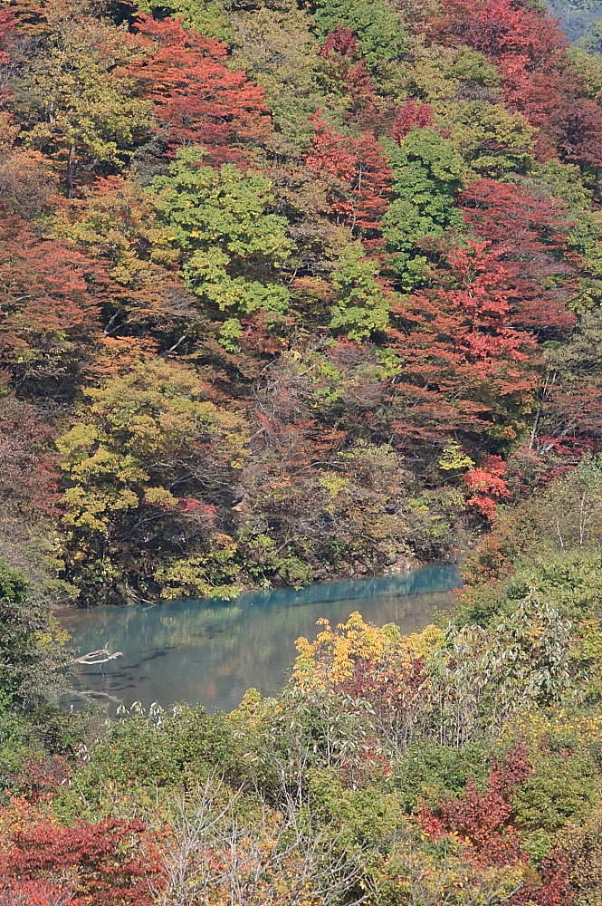 2010年 10月15日～24日 北東北の旅　第Ⅶ部　ふけの湯・松川渓谷（最終章）_c0127663_2395023.jpg