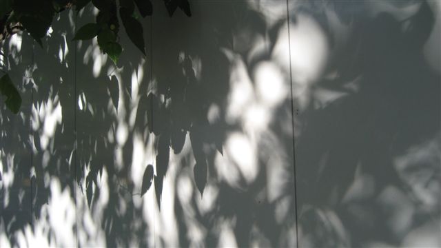 a0123465_21592852.jpg