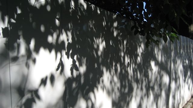 a0123465_21593739.jpg