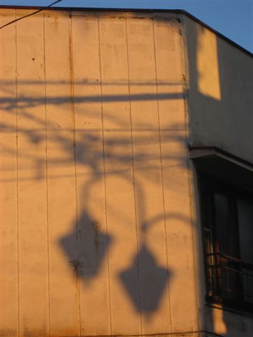 a0123465_21594765.jpg