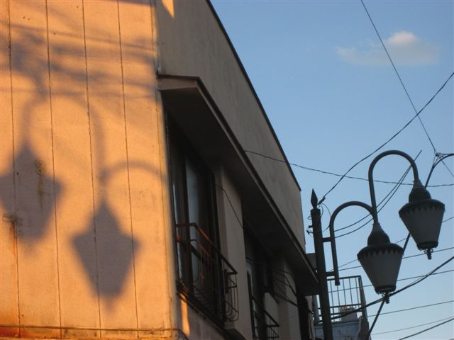 a0123465_21595766.jpg