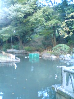 f0207969_17503577.jpg