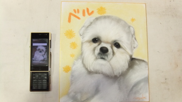 11月の似顔絵イベント日程_b0172370_17273383.jpg
