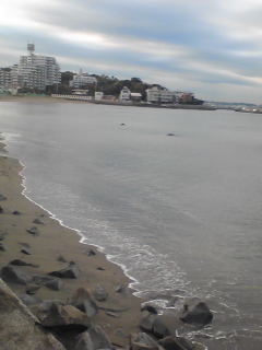 f0145976_7391320.jpg