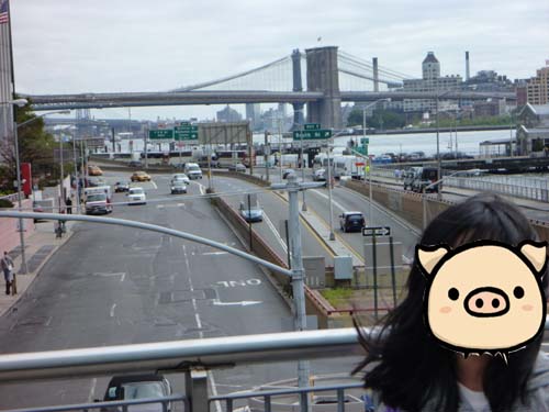 2010年秋　アメリカの旅 NYC編_e0066677_22431532.jpg