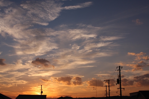 a0170378_210818.jpg
