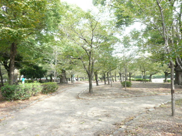 b0141878_1725720.jpg