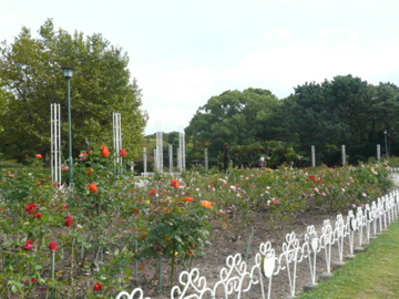 b0141878_17262965.jpg