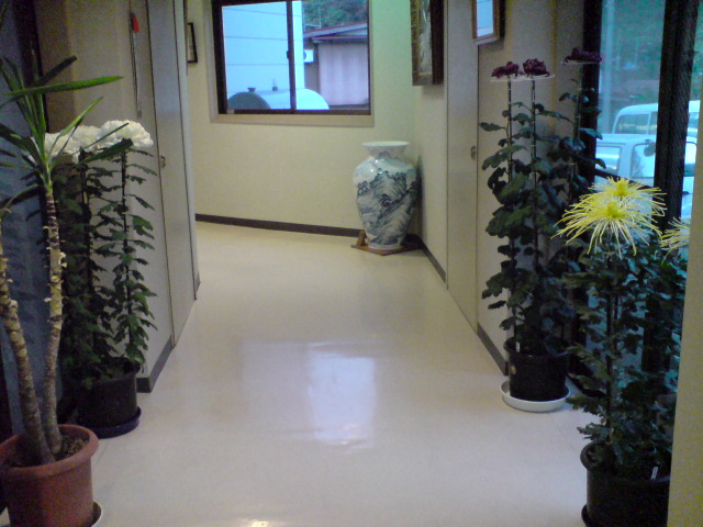 d0182179_19125342.jpg