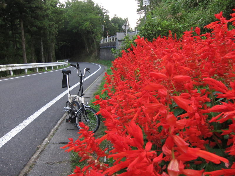 こんな山奥に歴史情緒あふれる街が！？津和野ーブロンプトンとの旅⑥_e0138081_1449772.jpg