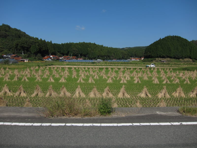 こんな山奥に歴史情緒あふれる街が！？津和野ーブロンプトンとの旅⑥_e0138081_1555010.jpg