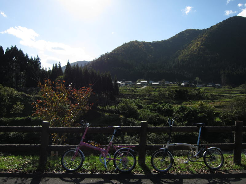 見事な秋晴れ！！かやぶきの里・美山へ_e0138081_16181430.jpg