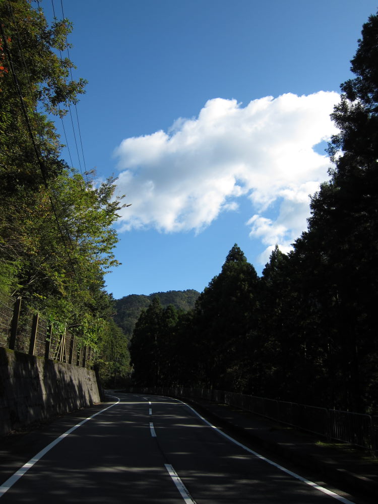 見事な秋晴れ！！かやぶきの里・美山へ_e0138081_16195724.jpg