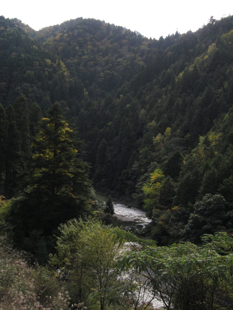 見事な秋晴れ！！かやぶきの里・美山へ_e0138081_163086.jpg
