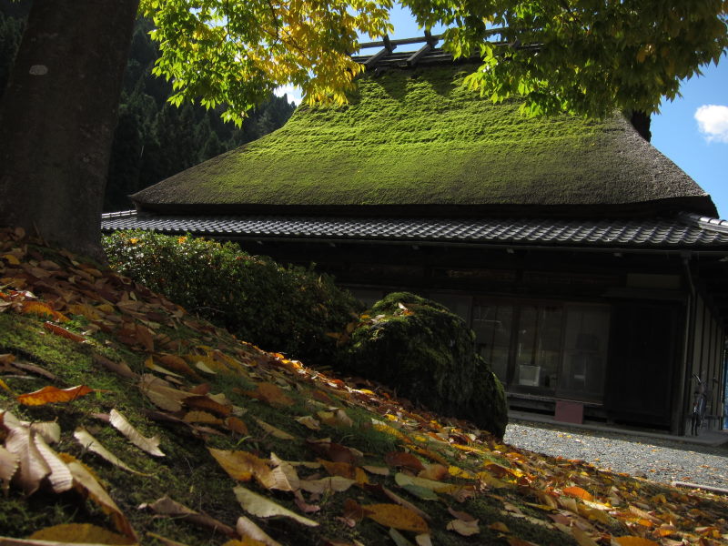 見事な秋晴れ！！かやぶきの里・美山へ_e0138081_1637376.jpg