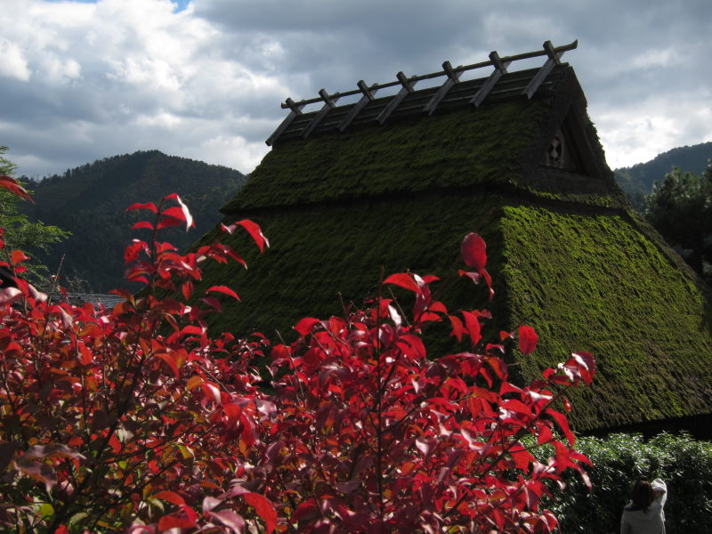 見事な秋晴れ！！かやぶきの里・美山へ_e0138081_16521247.jpg