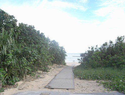 f0177284_14292972.jpg