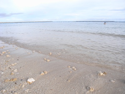 f0177284_14311981.jpg