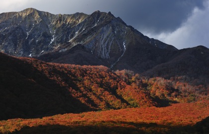 毎年この時期になると.紅葉の撮影に出かける大山..._b0194185_215742.jpg