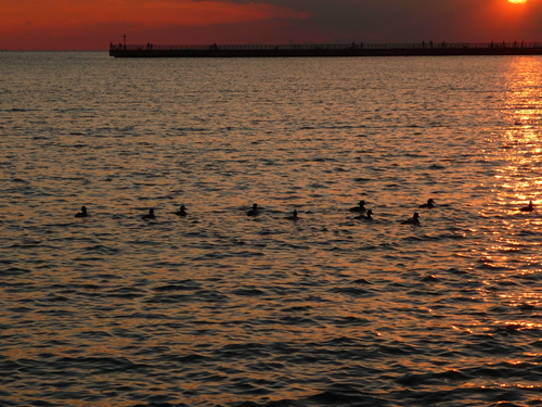 かぼちゃの甘くないケーキ＾＾　夕日～幕張の海～＾＾_f0198186_16463571.jpg