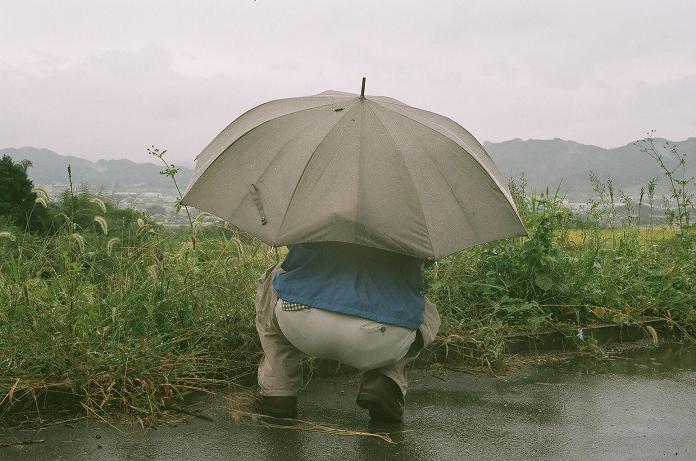 雨中に咲いた曼珠沙華（フィルム編）　H22.10.09_c0046587_2205324.jpg