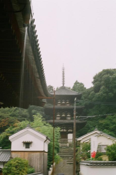 雨中に咲いた曼珠沙華（フィルム編）　H22.10.09_c0046587_2211175.jpg