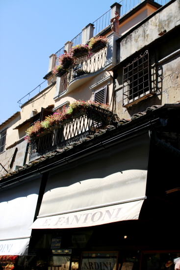 f0093592_233520.jpg