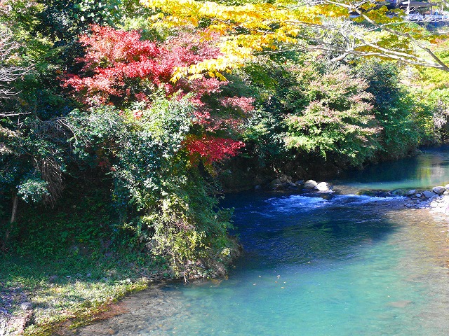 養沢毛鉤専用釣場_e0202393_20564392.jpg