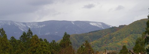 a0138198_15263014.jpg