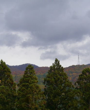a0138198_15291633.jpg