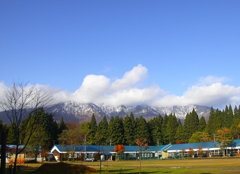 a0138198_16325559.jpg