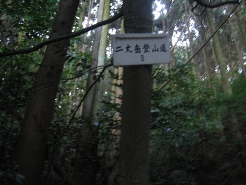 f0036700_1735498.jpg
