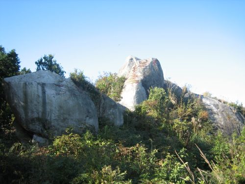 f0036700_1741231.jpg