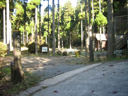 f0036700_1744010.jpg