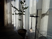 c0151903_21123923.jpg