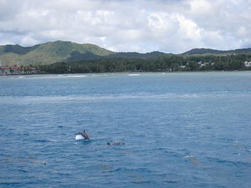 c0166916_20243395.jpg