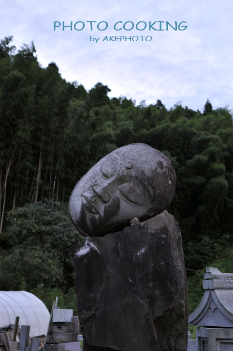 こげなもん(￣ii￣)_e0127416_1643734.jpg