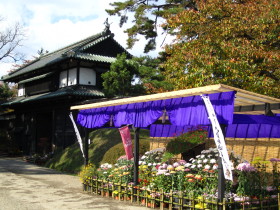 b0147224_17501834.jpg