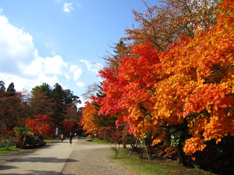 b0147224_1855450.jpg