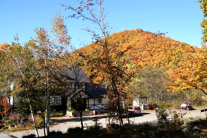 d0012134_15931.jpg