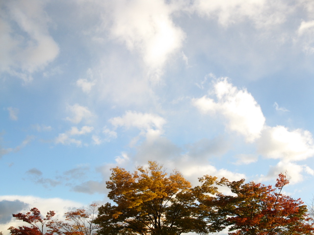 f0214235_21513225.jpg