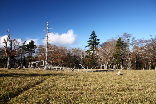 d0055236_17193769.jpg