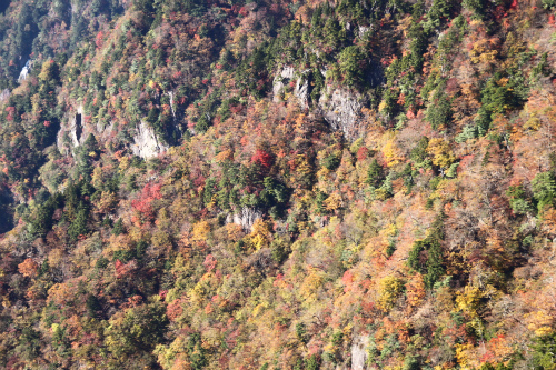 d0055236_17204461.jpg