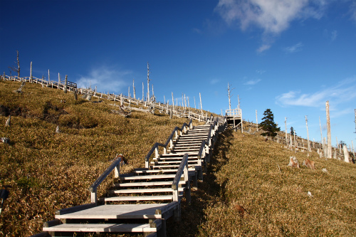 d0055236_173553100.jpg