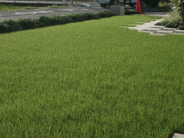 来年こそは・・・⑩_a0155844_175196.jpg