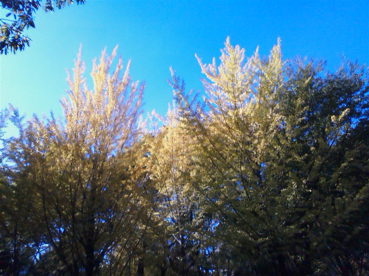 晴天_c0206645_21182632.jpg