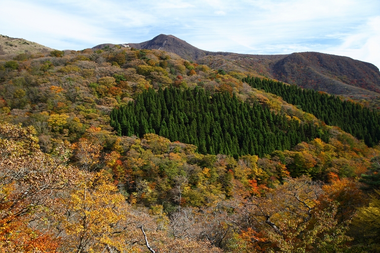 男池の紅葉（黄葉）_b0123359_2216917.jpg