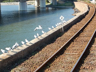f0052059_14113413.jpg