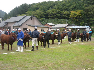 １０月は大忙し・・・_d0155865_15103765.jpg